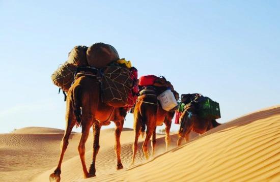 Camp Sahara Holidays 모하미드 외부 사진