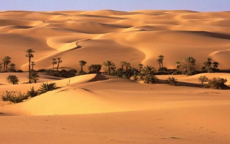 Camp Sahara Holidays 모하미드 외부 사진