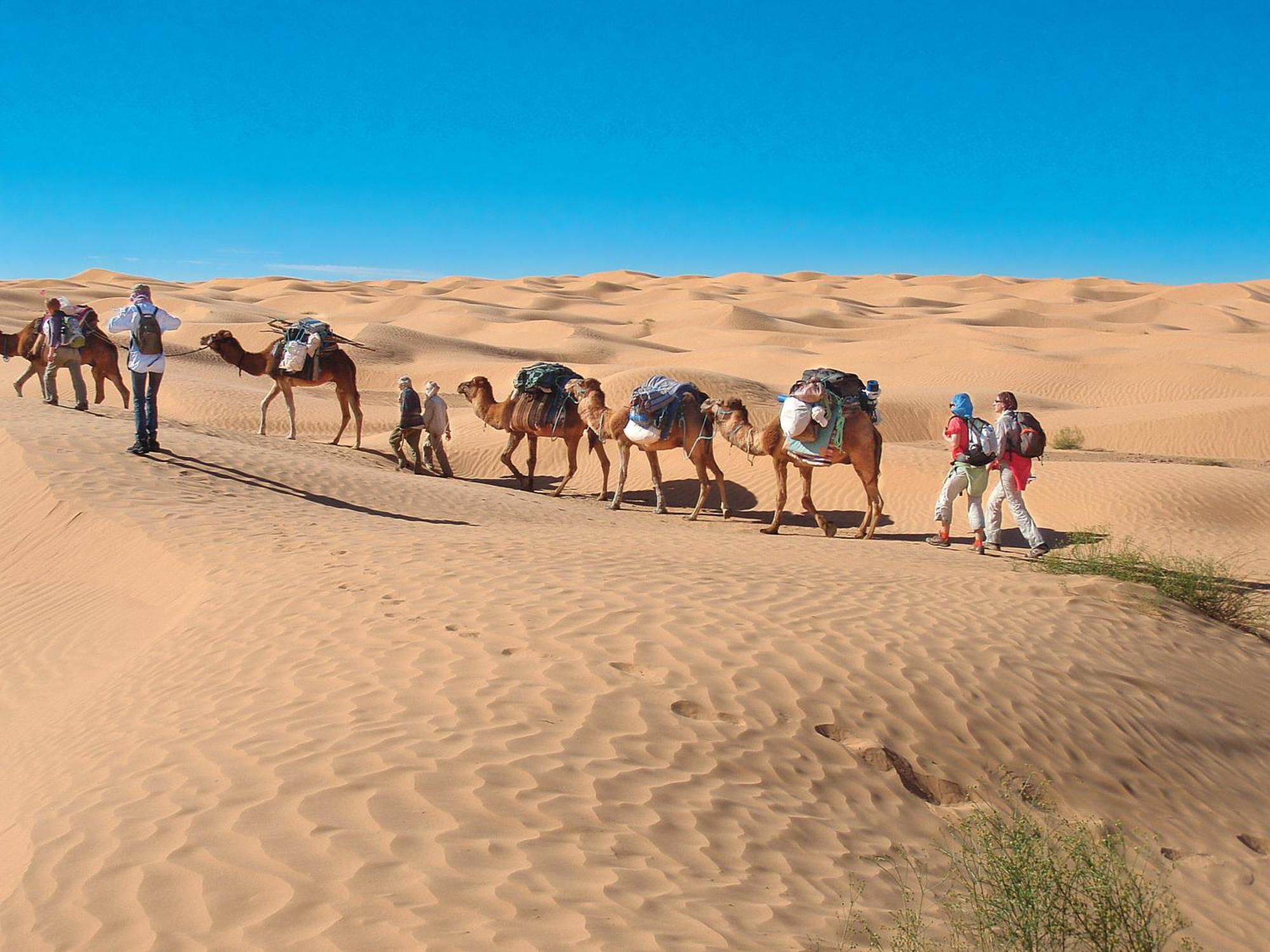 Camp Sahara Holidays 모하미드 외부 사진