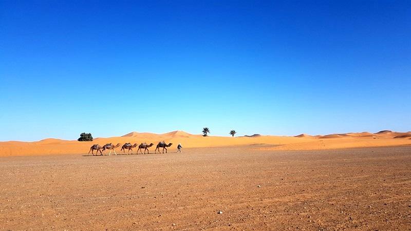 Camp Sahara Holidays 모하미드 외부 사진