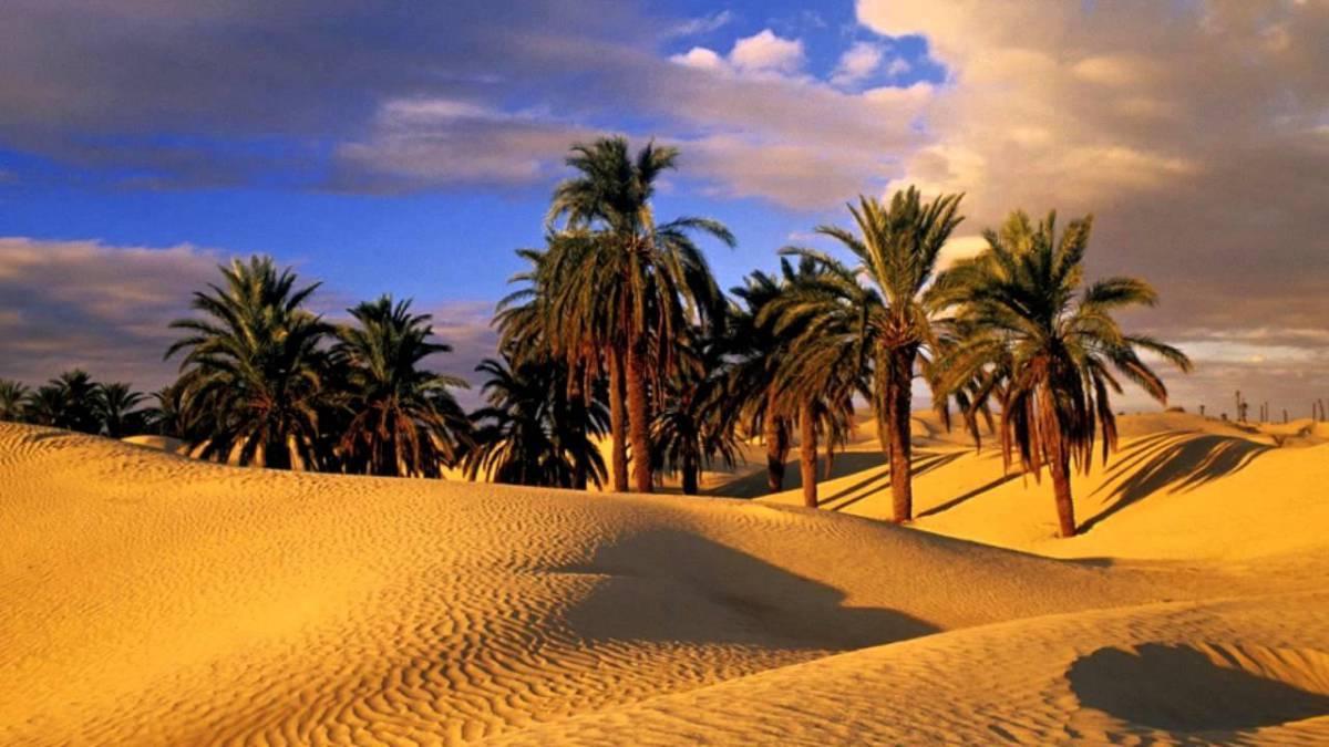 Camp Sahara Holidays 모하미드 외부 사진