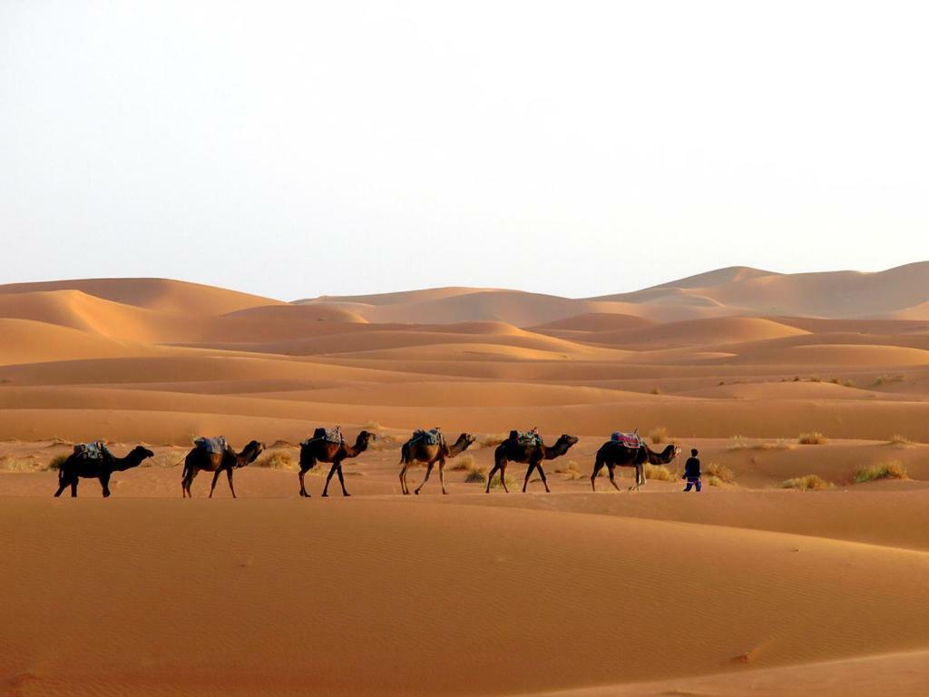 Camp Sahara Holidays 모하미드 외부 사진