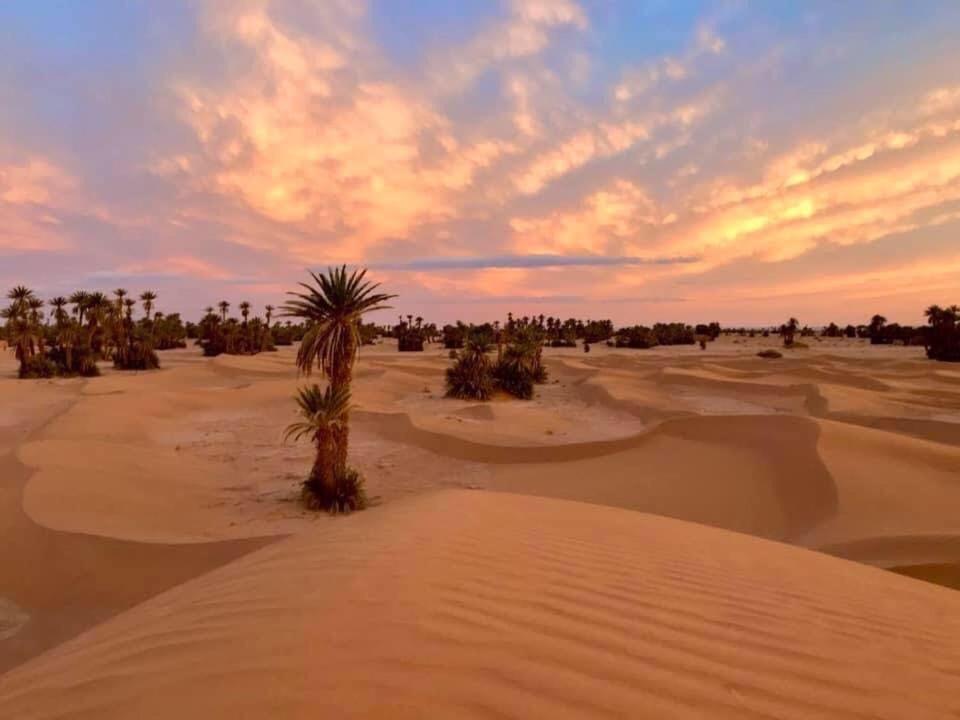 Camp Sahara Holidays 모하미드 외부 사진